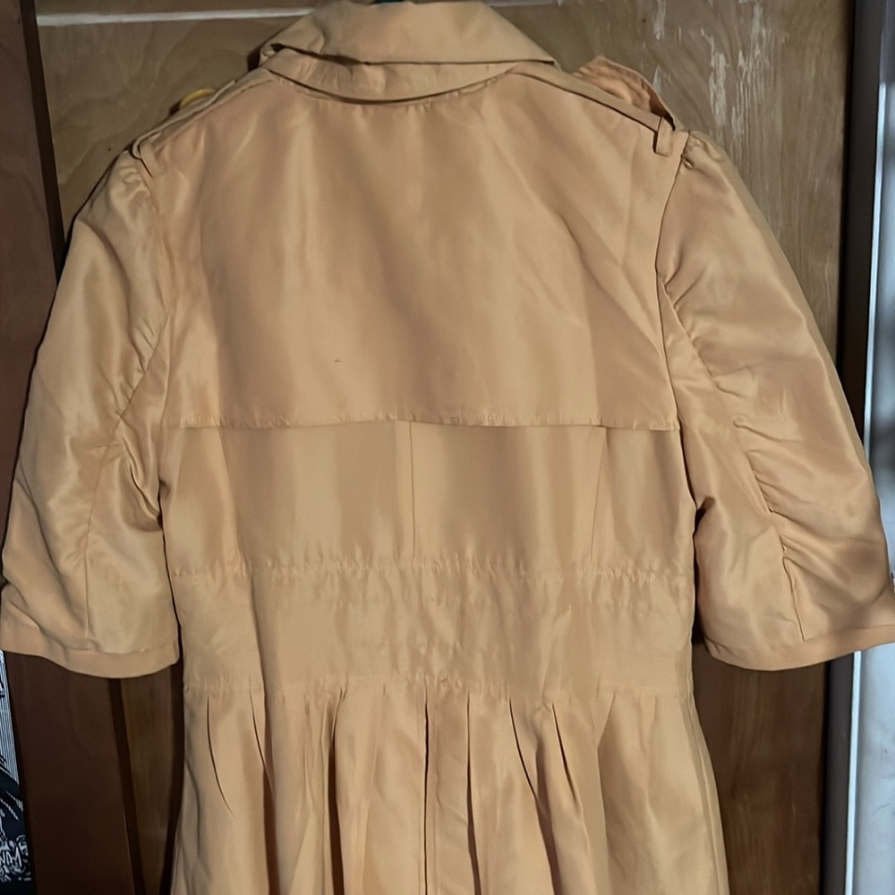 Yellow jacket - Picture 3 of 4